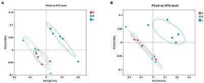 Glucogenic and lipogenic diets affect in vitro ruminal microbiota and metabolites differently